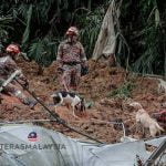 Tragedi Tanah Runtuh Mayat Mangsa Ke 26 Ditemui Berpelukan Dengan Anjing
