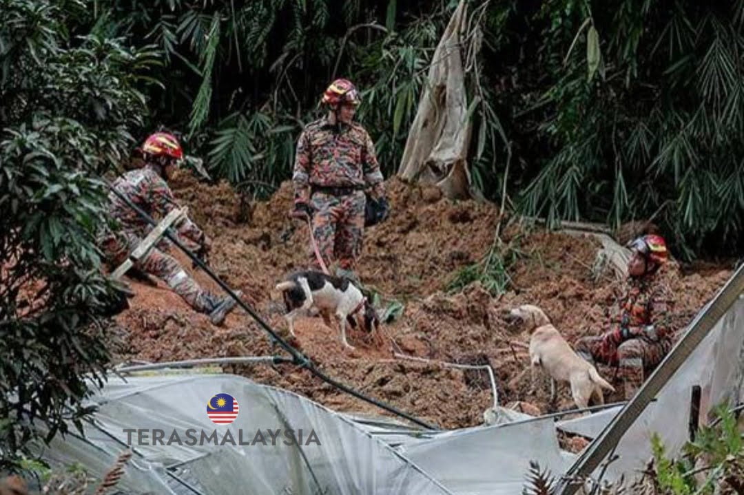 Tragedi Tanah Runtuh Mayat Mangsa Ke 26 Ditemui Berpelukan Dengan Anjing