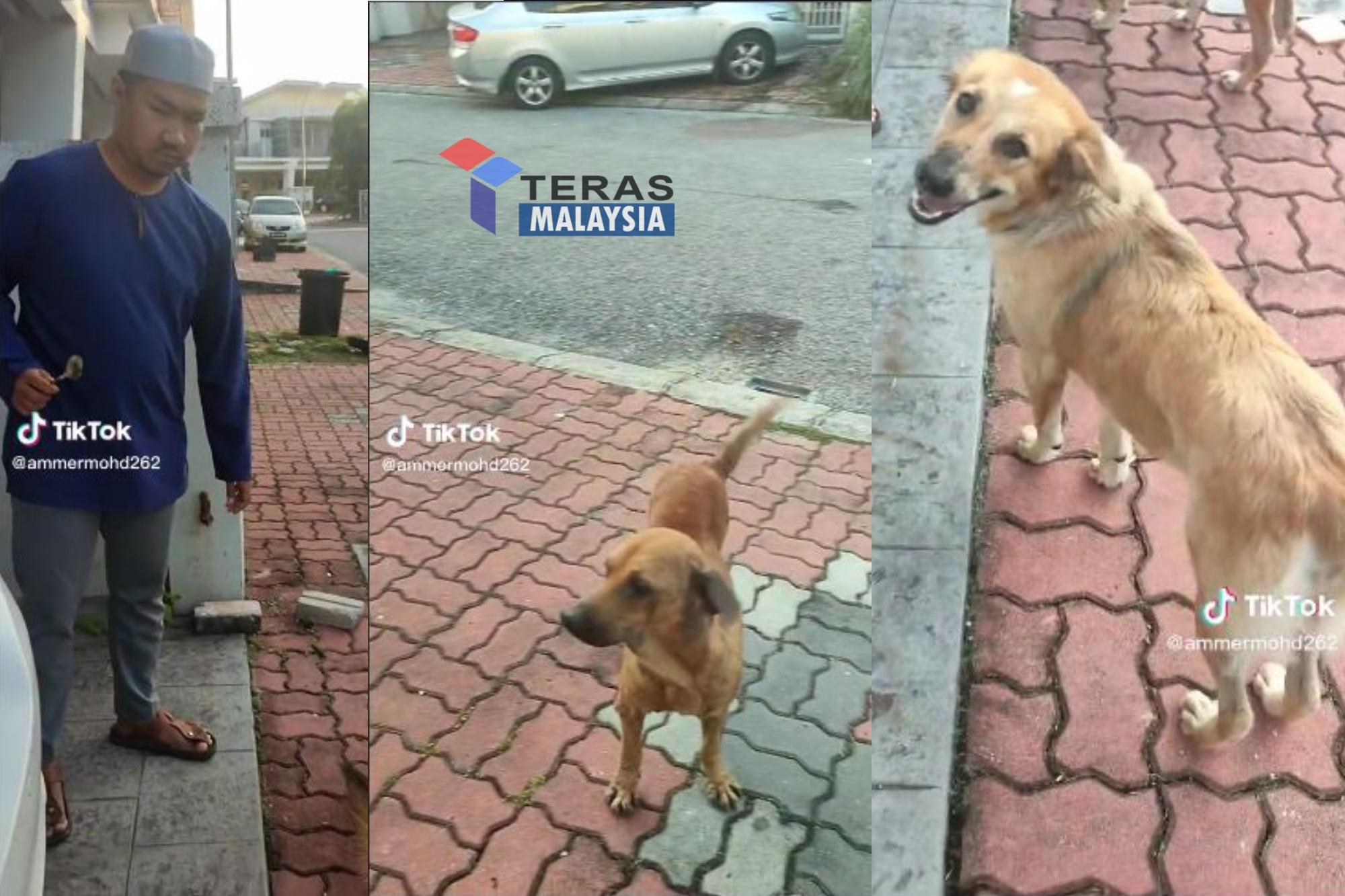 Lelaki berkopiah buat sesuatu pada anjing raih perhatian netizen